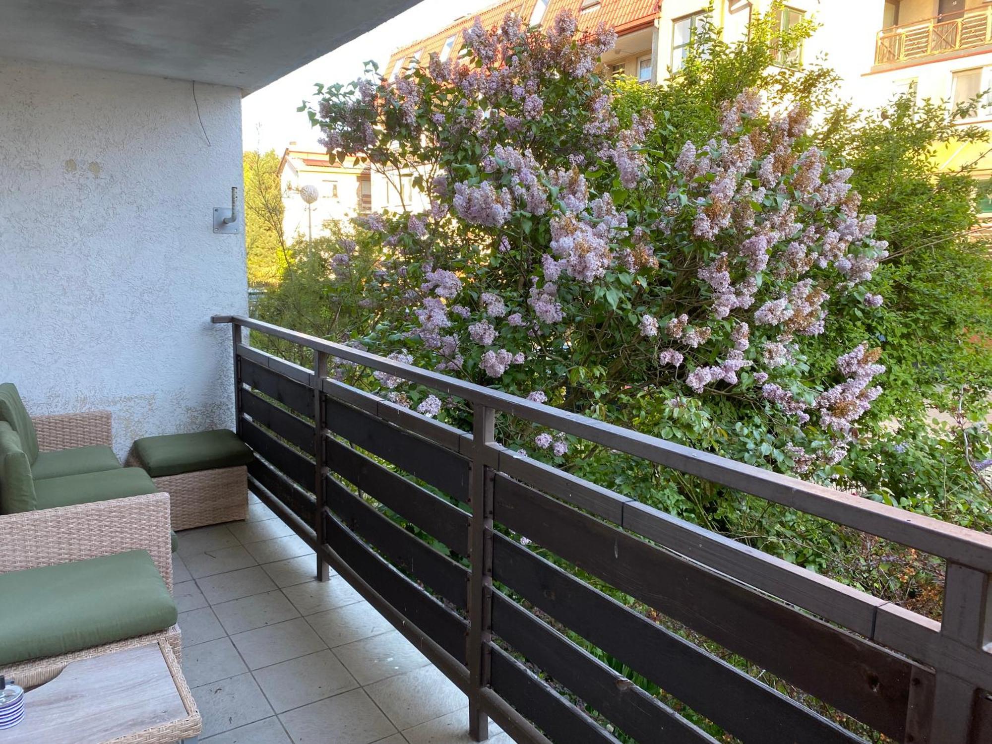 Lesne Apartamenty - Apartament Szary Hel Dış mekan fotoğraf